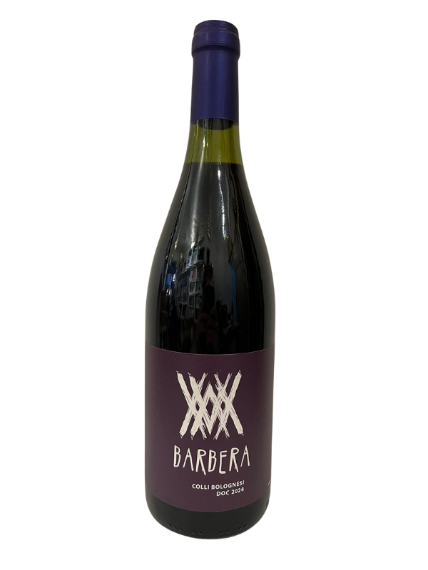 Barbera Colli Bolognesi DOC – Vino Rosso Biologico Affinato in Legno | Anonima Valsamoggia
