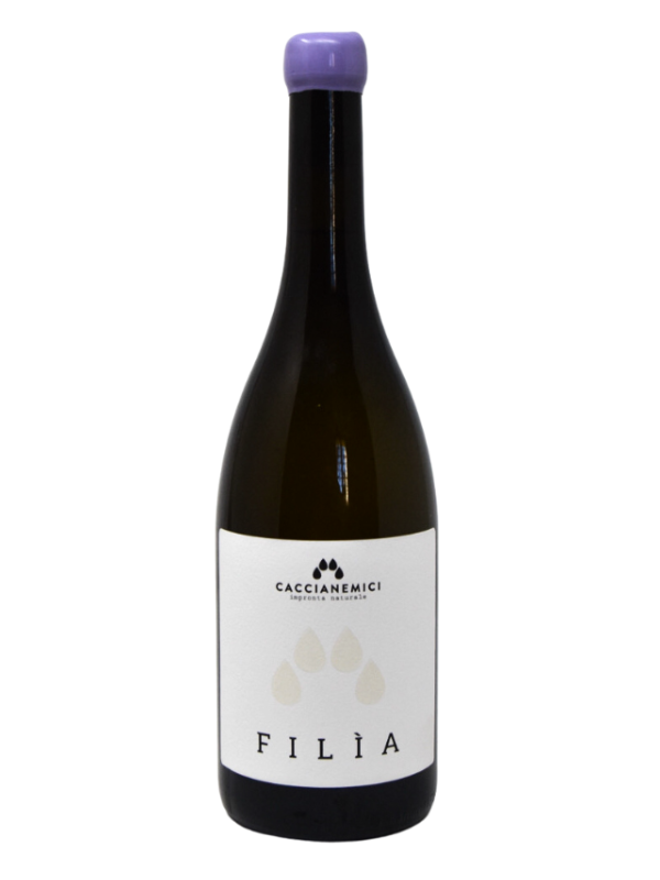 Filìa – Vino Bianco Fermo in Anfora da Uve Grechetto Gentile | Caccianemici