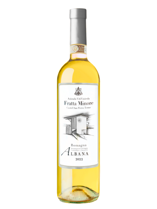 Romagna Albana Secco DOCG 2022 – Vino Bianco Biologico Strutturato | Fratta Minore