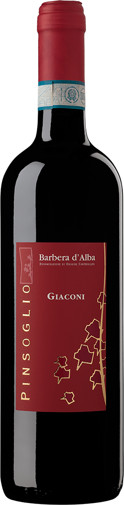 PINSOGLIO Fabrizio - BARBERA D’ALBA Giaconi 2020