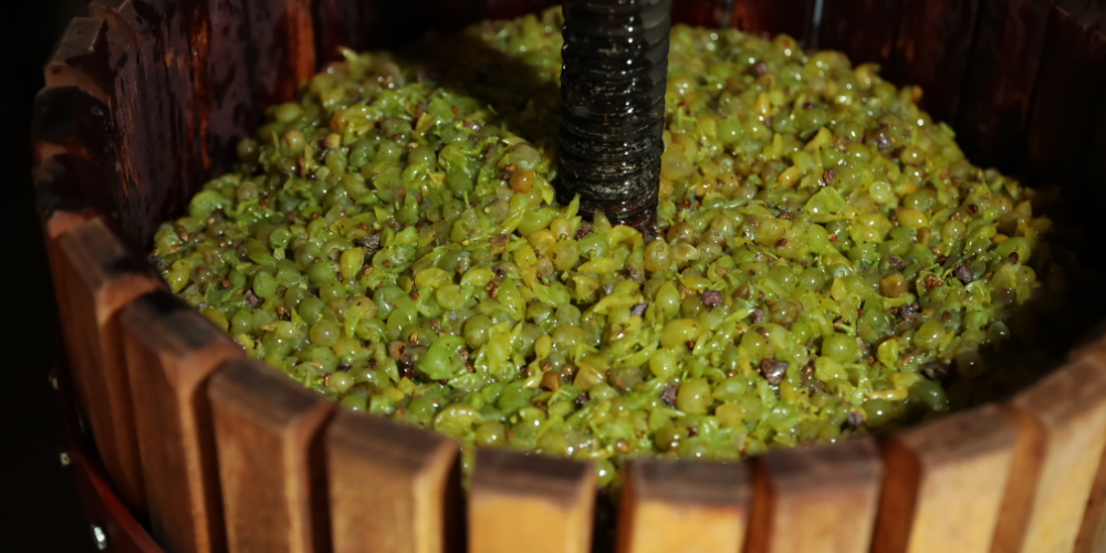 Cosa sono i vini naturali: significato, filosofia e differenze rispetto ai vini biologici e biodinamici