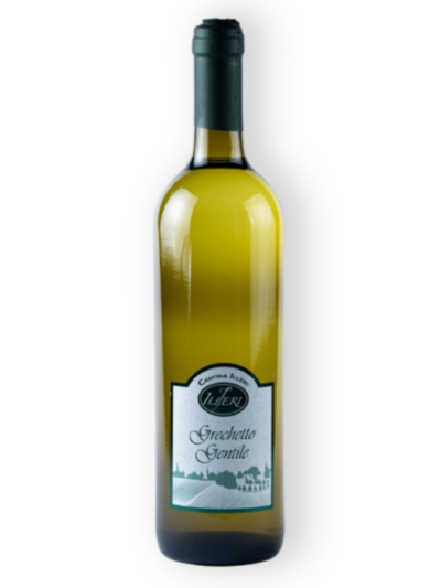 Emilia IGT Grechetto Gentile – Vino Bianco Fermo | Cantina Illeri