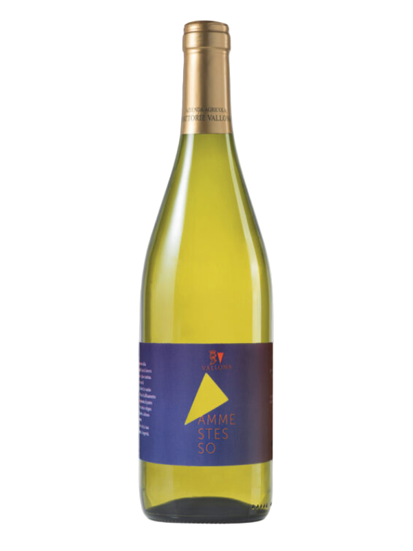 Ammestesso Colli Bolognesi Pignoletto DOCG Classico Superiore – Vino Bianco Strutturato da Vecchie Vigne | Fattorie Vallona