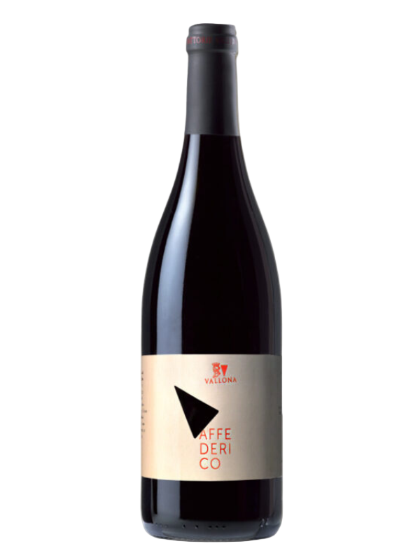 Fattorie Vallona Affederico – Rosso Colli Bolognesi DOC Merlot | 2022