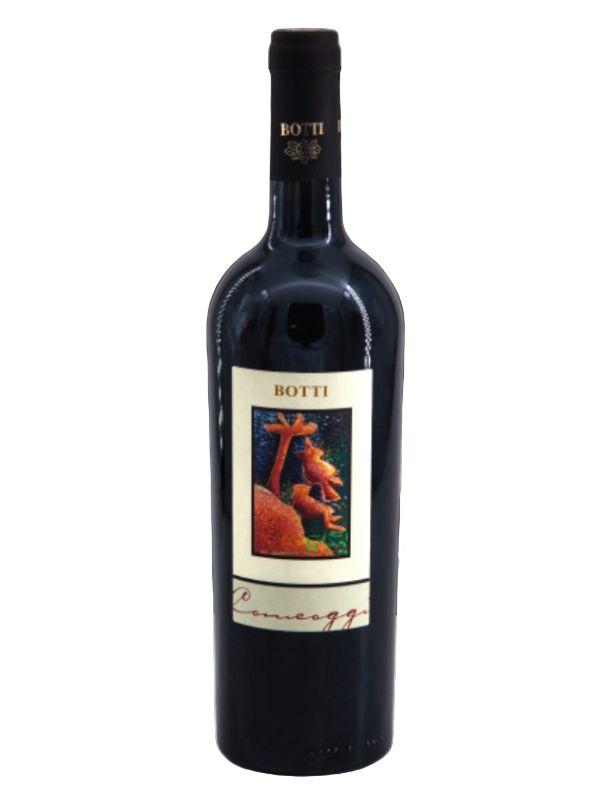 Vini Botti Comeoggi Negrettino in Anfora – Rosso dell'Emilia IGT | Vitigno Autoctono e Vinificazione Biodinamica