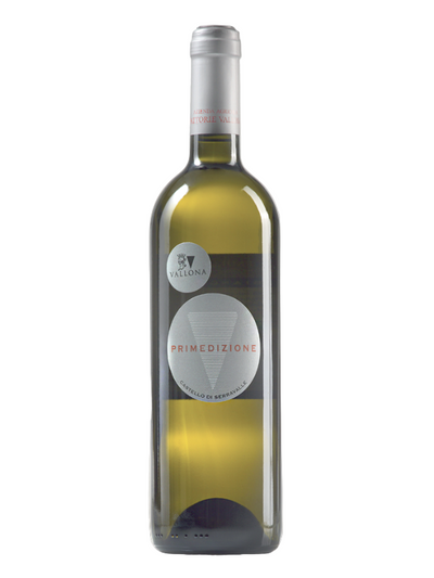 Fattorie Vallona Primedizione – Cuvée di Bianchi Emilia IGT | Struttura, Aromi Tropicali e Longevità