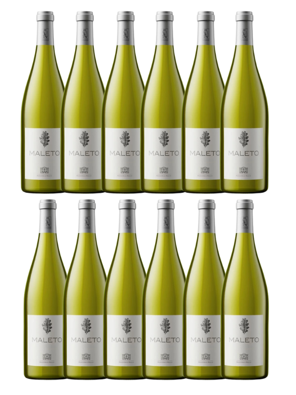 Maleto Chardonnay BIO – Vino Bianco Biologico Rubicone IGP | Palazzona di Maggio
