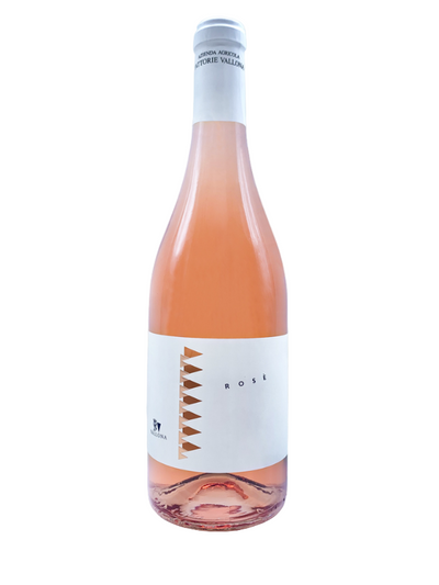 Rosato Fermo – Freschezza e Fruttato dal Cuore dei Colli Bolognesi | Fattorie Vallona