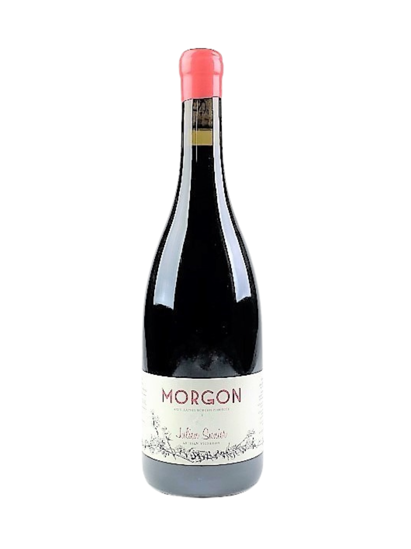 JULIEN SUNIER - Morgon 2023